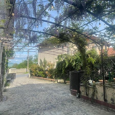 데바 Luxury House Teodora 빌라 외부 사진